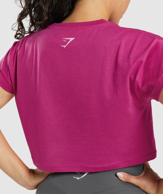 Gymshark Fraction Crop Top Women's Sweatshirts Pink | UAE-20YCBP