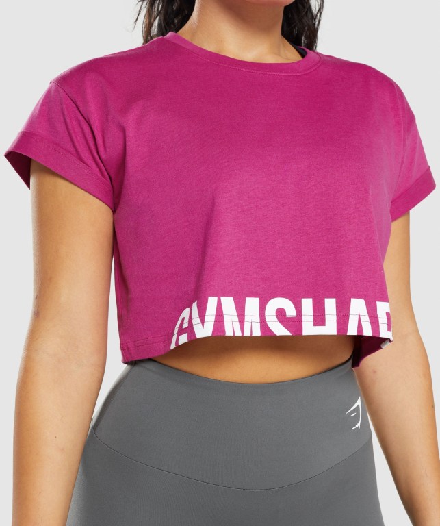 Gymshark Fraction Crop Top Women's Sweatshirts Pink | UAE-20YCBP