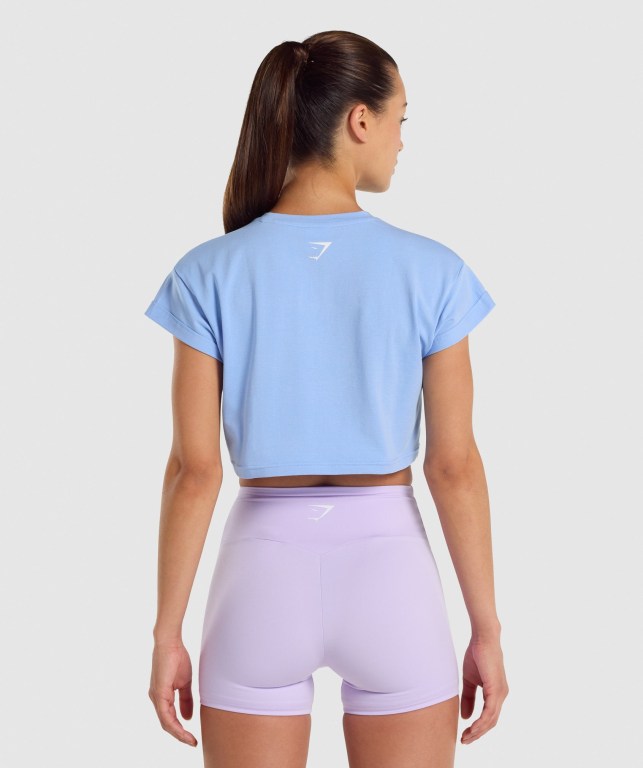 Gymshark Fraction Crop Top Women's Sweatshirts Light Blue | UAE-24NZPB