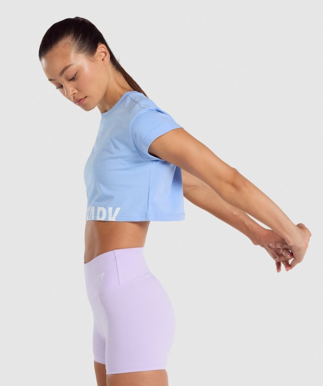 Gymshark Fraction Crop Top Women's Sweatshirts Light Blue | UAE-24NZPB