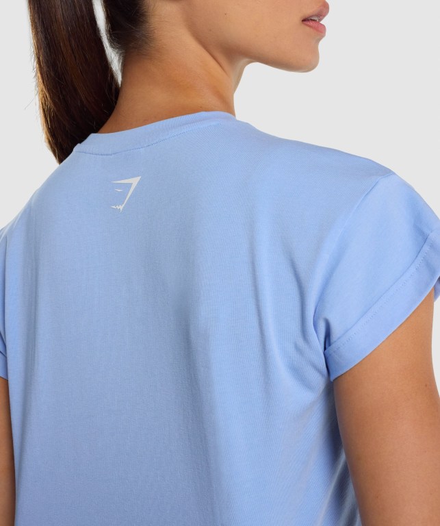 Gymshark Fraction Crop Top Women's Sweatshirts Light Blue | UAE-24NZPB