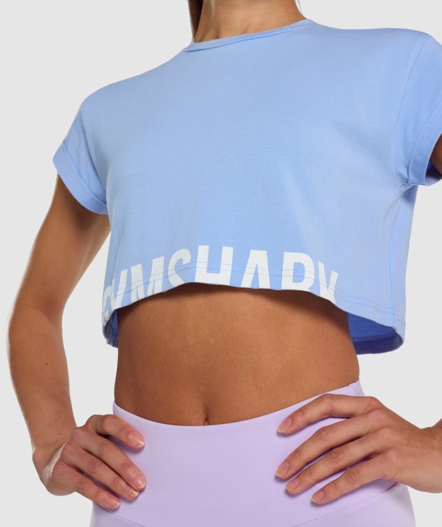 Gymshark Fraction Crop Top Women's Sweatshirts Light Blue | UAE-24NZPB