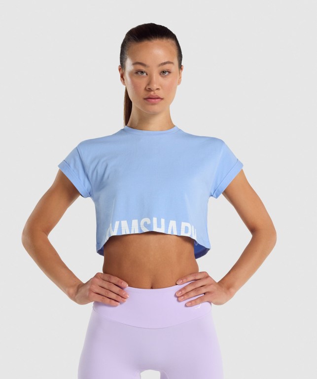 Gymshark Fraction Crop Top Women\'s Sweatshirts Light Blue | UAE-24NZPB