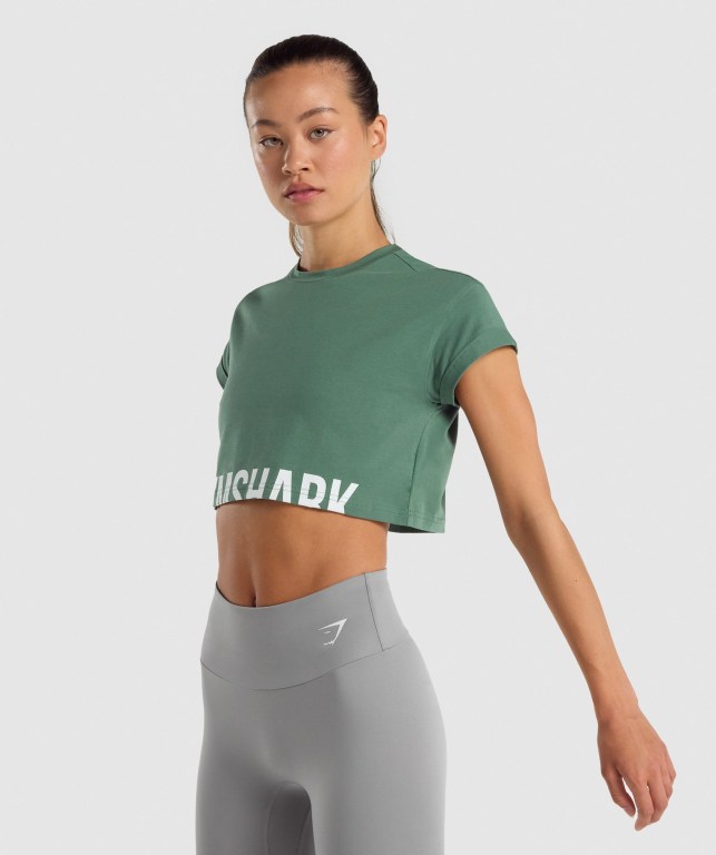 Gymshark Fraction Crop Top Women's Sweatshirts Green | UAE-34YTJF