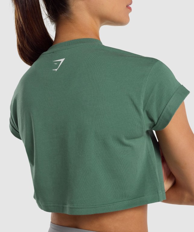 Gymshark Fraction Crop Top Women's Sweatshirts Green | UAE-34YTJF