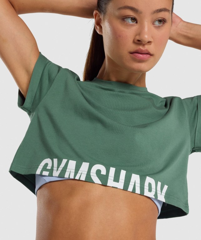 Gymshark Fraction Crop Top Women's Sweatshirts Green | UAE-34YTJF