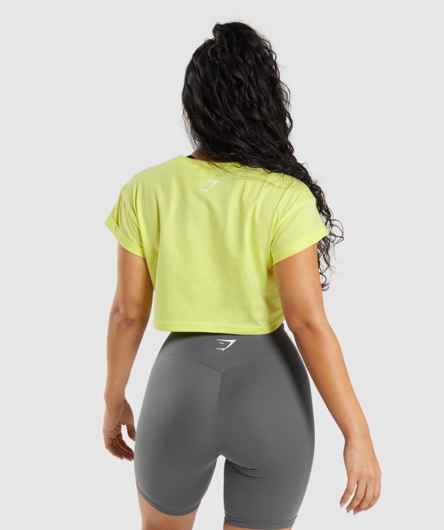 Gymshark Fraction Crop Top Women's Sweatshirts Green | UAE-56LEVX