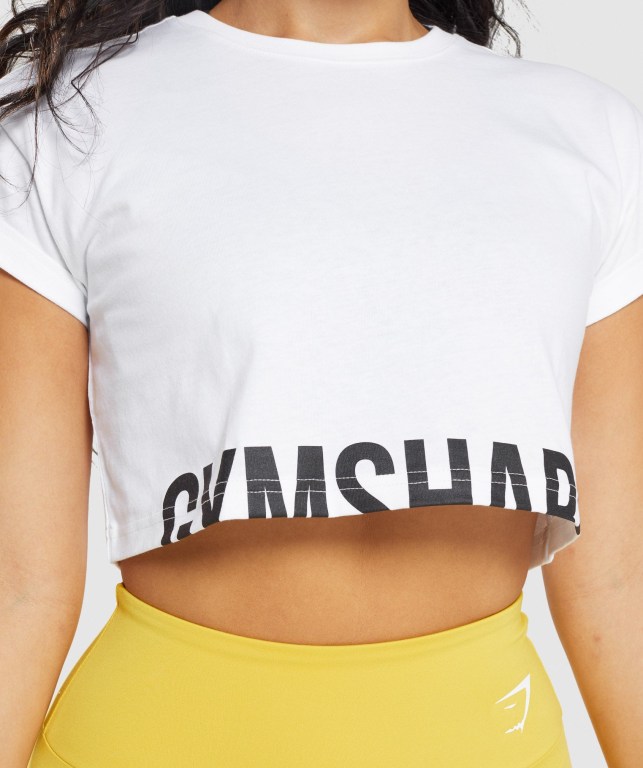 Gymshark Fraction Crop Top Women's Sweatshirts White | UAE-80GIOV