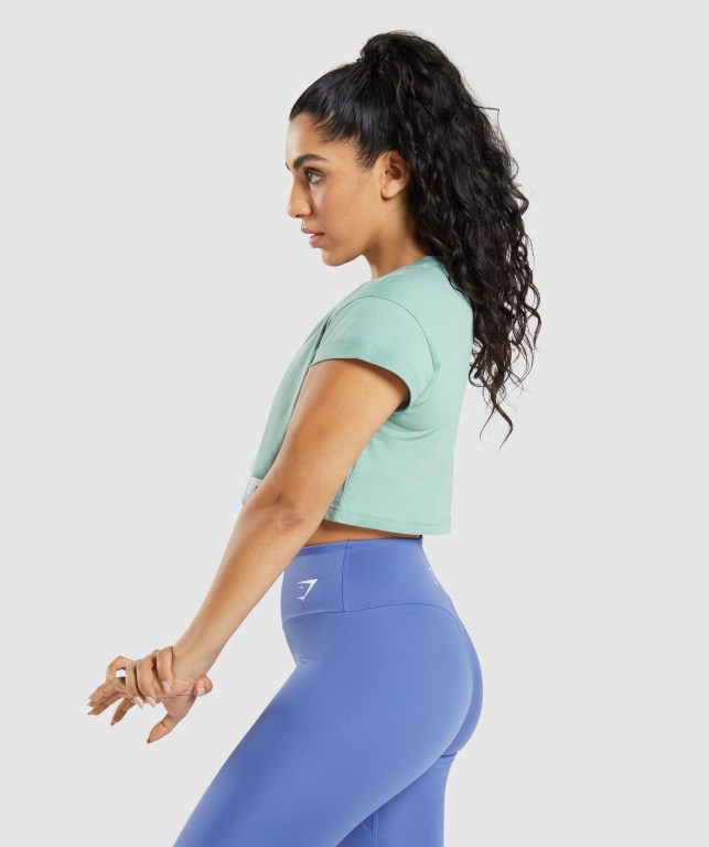 Gymshark Fraction Crop Top Women's Sweatshirts Blue | UAE-87SNCA