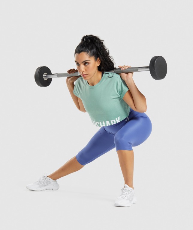 Gymshark Fraction Crop Top Women's Sweatshirts Blue | UAE-87SNCA