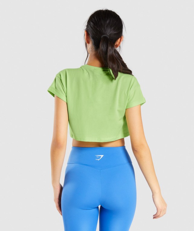 Gymshark Fraction Crop Top Women's T Shirts Green | UAE-09XWGN