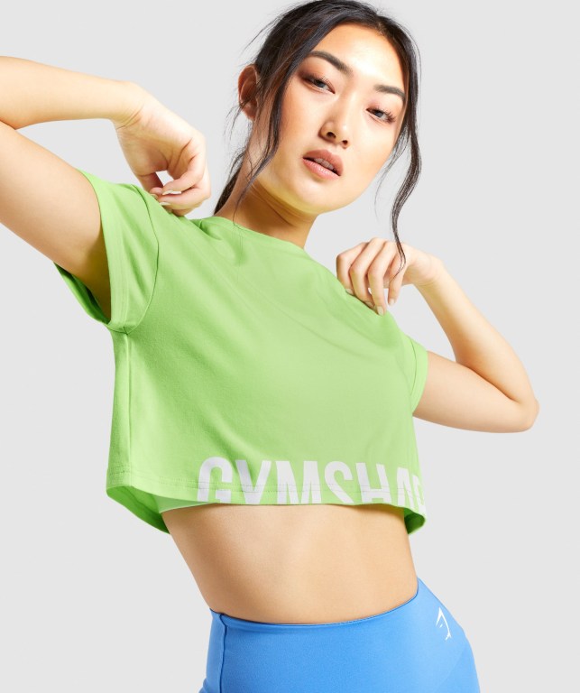 Gymshark Fraction Crop Top Women's T Shirts Green | UAE-09XWGN