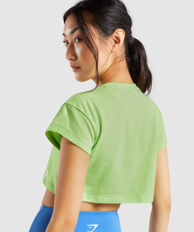 Gymshark Fraction Crop Top Women's T Shirts Green | UAE-09XWGN