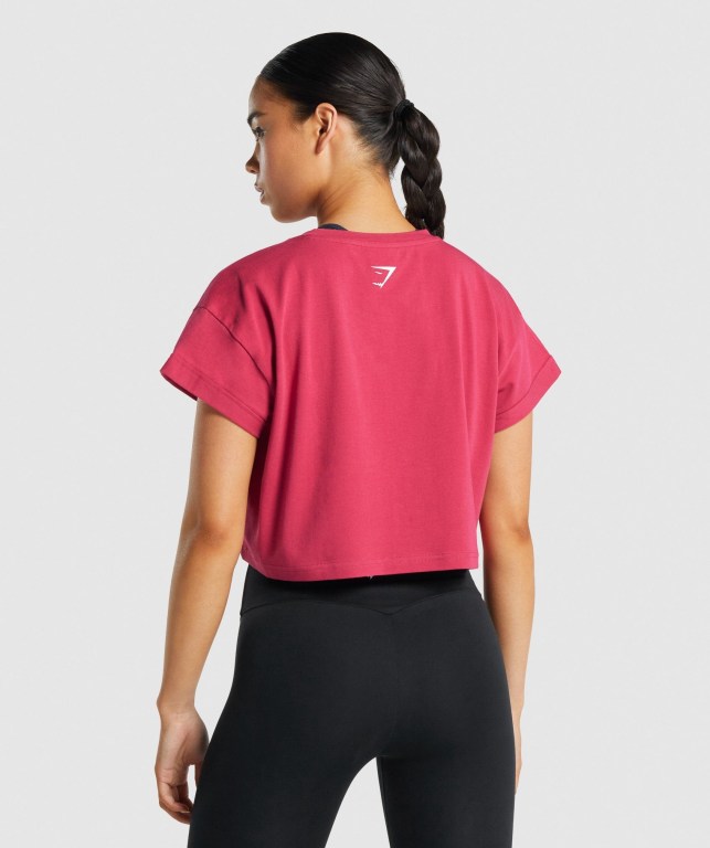 Gymshark Fraction Crop Top Women's T Shirts Pink | UAE-16LVQM