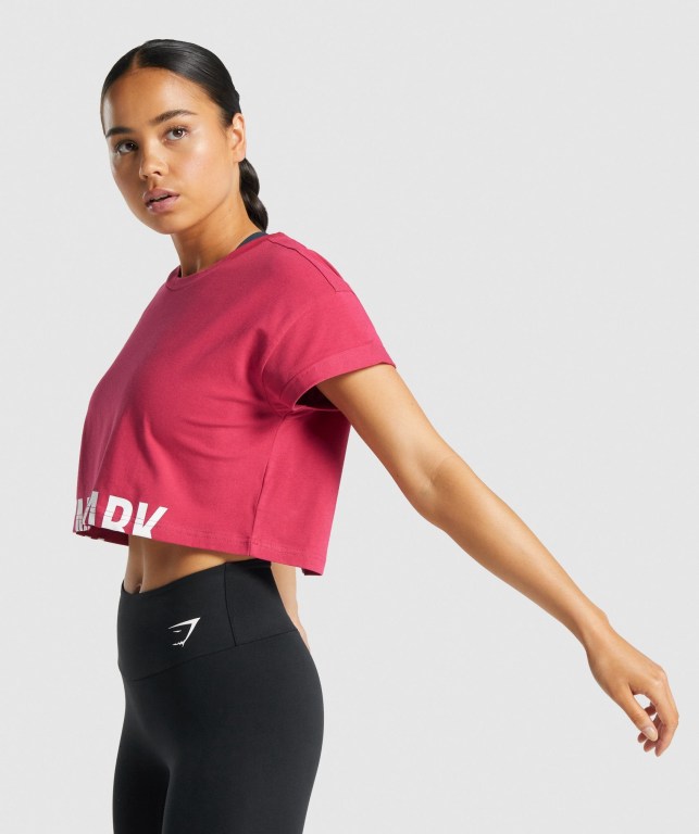 Gymshark Fraction Crop Top Women's T Shirts Pink | UAE-16LVQM