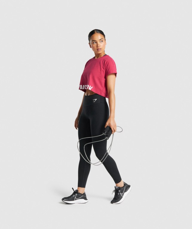 Gymshark Fraction Crop Top Women's T Shirts Pink | UAE-16LVQM