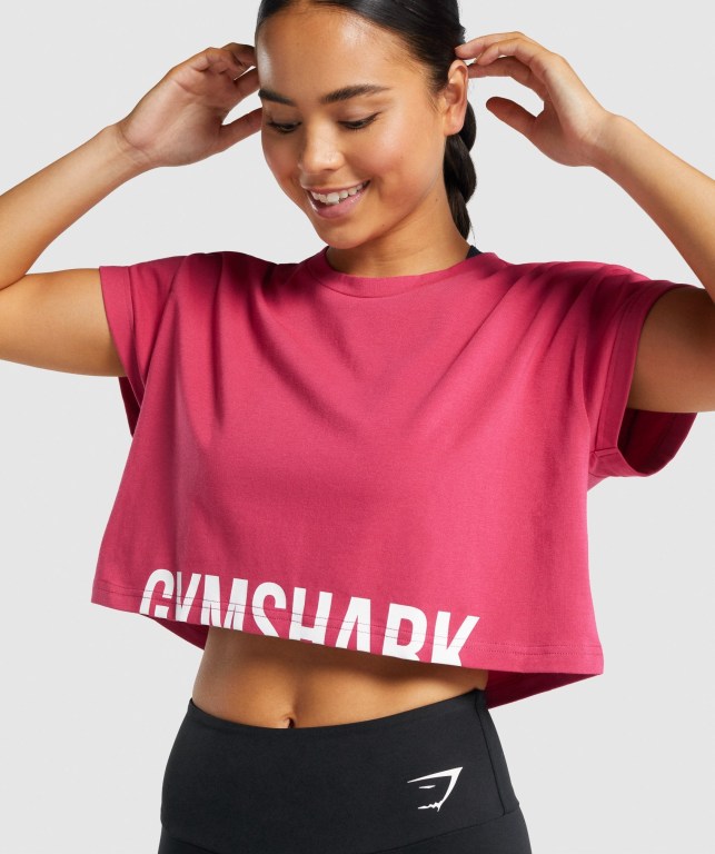 Gymshark Fraction Crop Top Women's T Shirts Pink | UAE-16LVQM