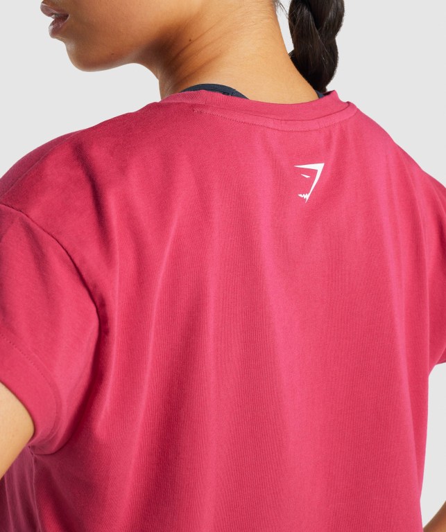 Gymshark Fraction Crop Top Women's T Shirts Pink | UAE-16LVQM