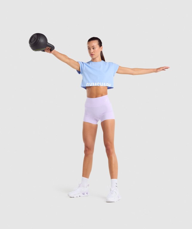 Gymshark Fraction Crop Top Women's T Shirts Light Blue | UAE-21ZMUX