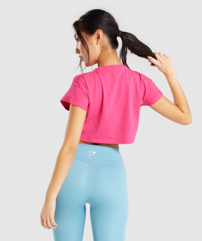 Gymshark Fraction Crop Top Women's T Shirts Pink | UAE-43YZWG