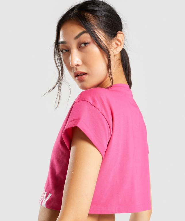 Gymshark Fraction Crop Top Women's T Shirts Pink | UAE-43YZWG