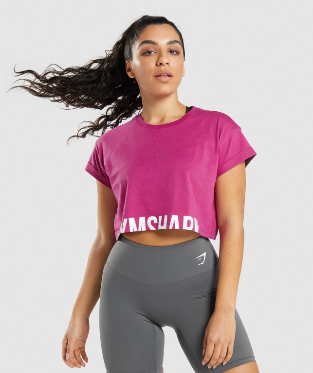 Gymshark Fraction Crop Top Women\'s T Shirts Pink | UAE-70ZYXR