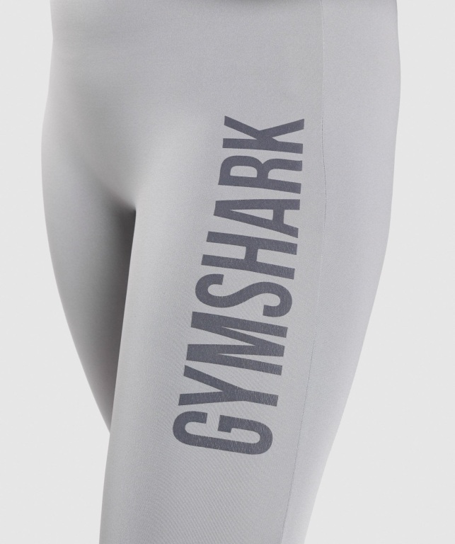 Gymshark GS Power High Waisted Women's Leggings Grey | UAE-28PGXJ