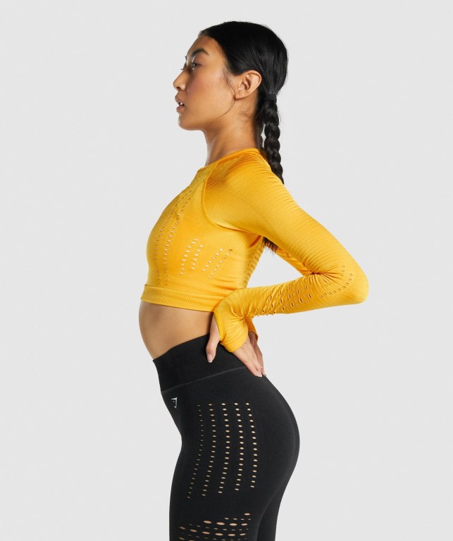 Gymshark Glow Seamless Crop Top Women's Sweatshirts Yellow | UAE-39SDNC