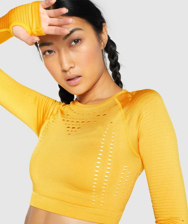 Gymshark Glow Seamless Crop Top Women's Sweatshirts Yellow | UAE-39SDNC