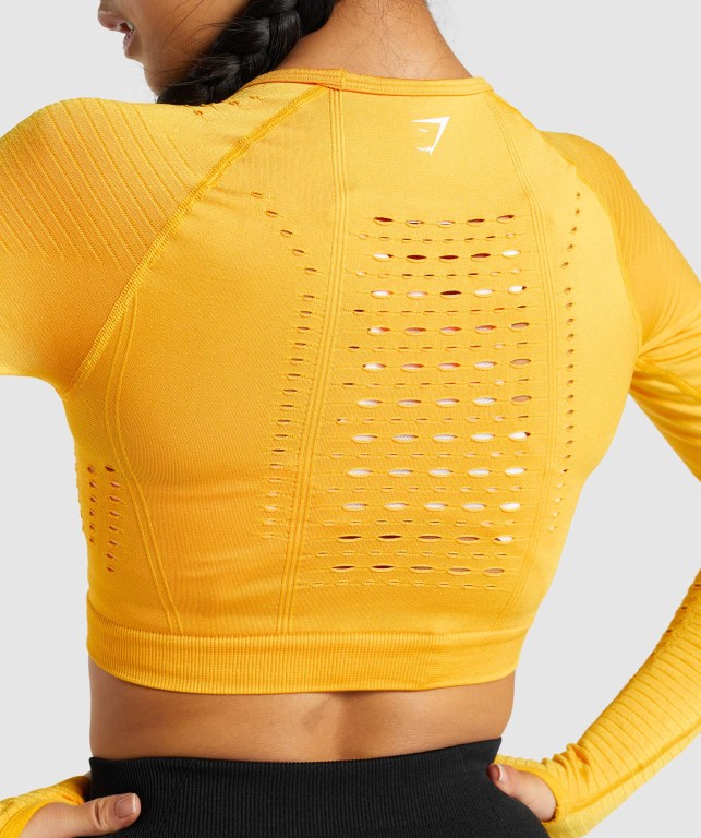 Gymshark Glow Seamless Crop Top Women's Sweatshirts Yellow | UAE-39SDNC