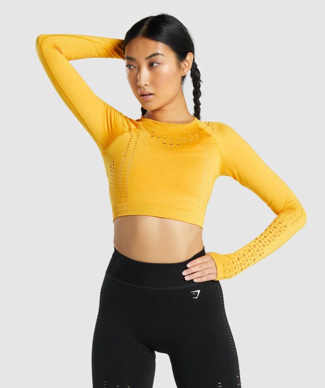 Gymshark Glow Seamless Crop Top Women\'s Sweatshirts Yellow | UAE-39SDNC