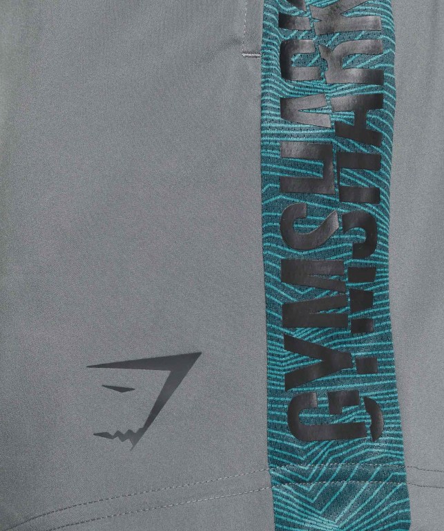 Gymshark Graphic Sport Men's Shorts Grey | UAE-85PKDY