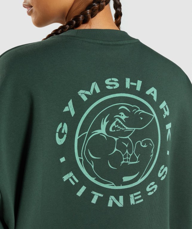 Gymshark Legacy Graphic Sweatshirt Women's Hoodies Dark Green | UAE-94SJLW