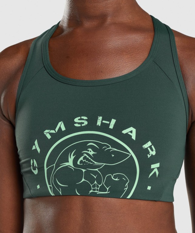 Gymshark Legacy Graphic Women's Sports Bra Dark Green | UAE-42ZLKO