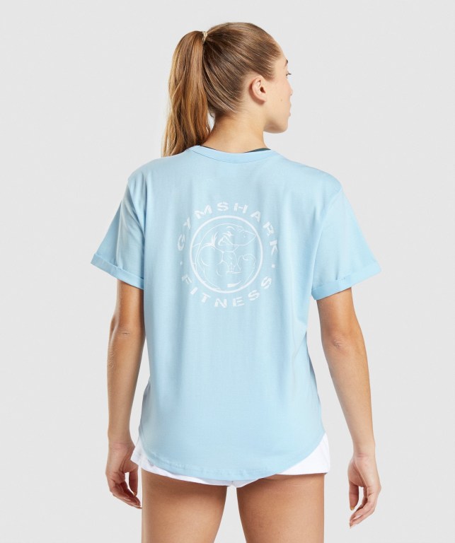 Gymshark Legacy Graphic Women's T Shirts Blue | UAE-75DTEI