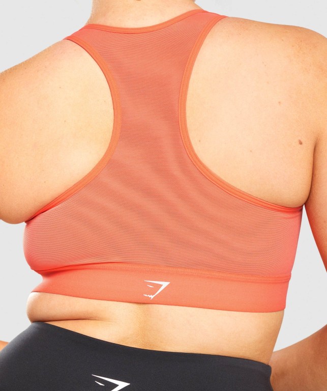 Gymshark Lightweight High Support Training Women's Sports Bra Orange | UAE-67MDQN