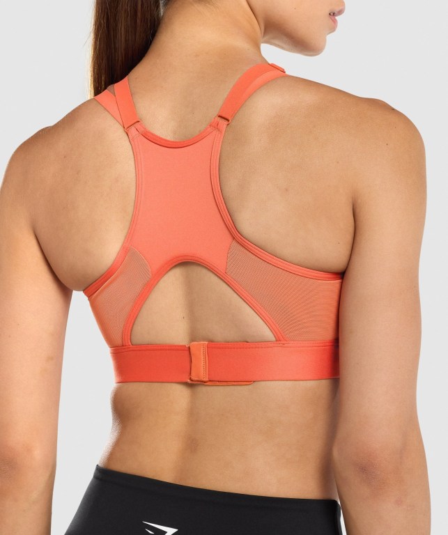 Gymshark Mesh Neckline Training Women's Sports Bra Orange | UAE-51PUCJ