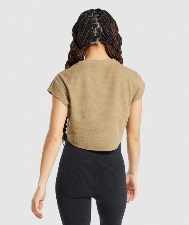 Gymshark Pause Crop Top Women's T Shirts Light Brown | UAE-72BZRI