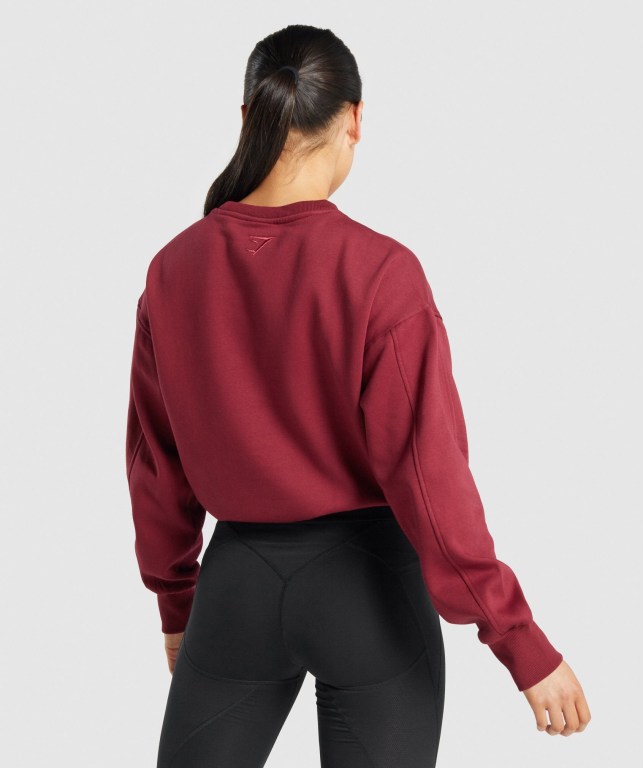 Gymshark Pulse Women's Hoodies Burgundy | UAE-86OIYS