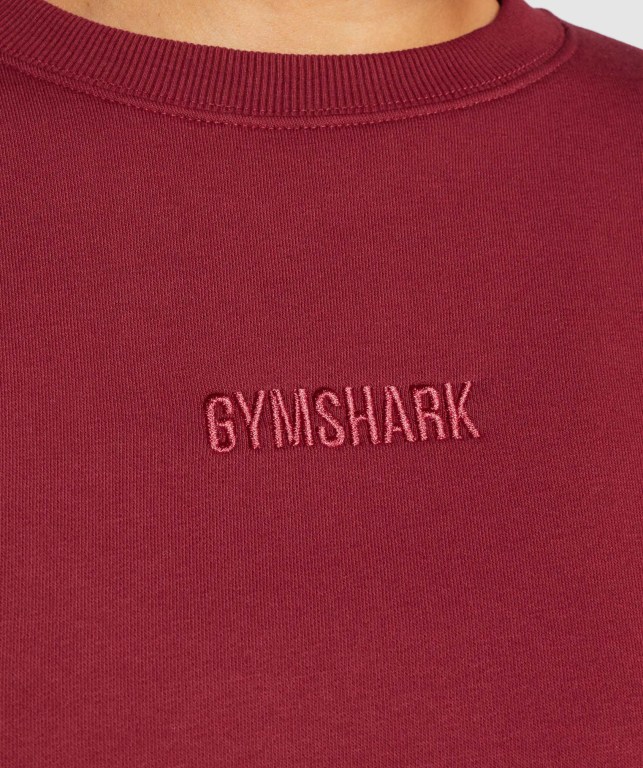 Gymshark Pulse Women's Hoodies Burgundy | UAE-86OIYS