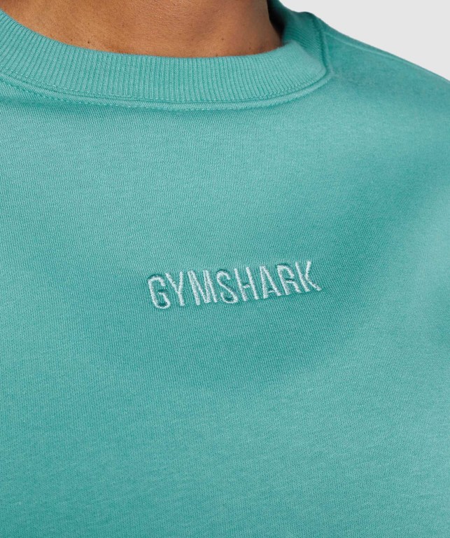 Gymshark Pulse Women's Hoodies Turquoise | UAE-41ZVXF