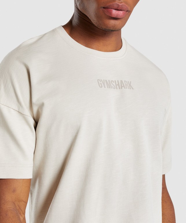 Gymshark Restore Men's T Shirts Grey | UAE-74GTKC