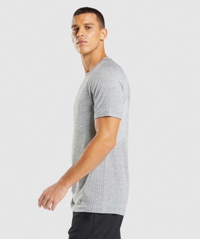 Gymshark Retake Seamless Men's T Shirts Light Grey / Black | UAE-78IEFZ