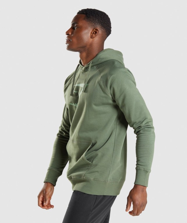 Gymshark Sharkhead Infill Men's Hoodies Green | UAE-06VDNA