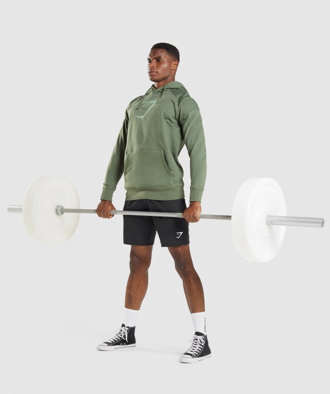 Gymshark Sharkhead Infill Men's Hoodies Green | UAE-06VDNA