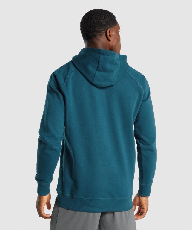 Gymshark Sharkhead Infill Men's Hoodies Turquoise | UAE-15IEMN