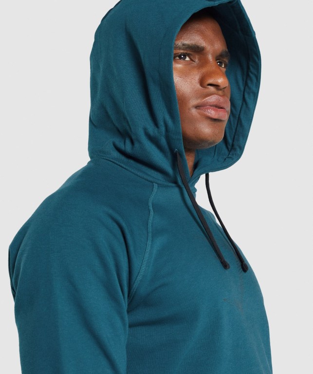 Gymshark Sharkhead Infill Men's Hoodies Turquoise | UAE-15IEMN