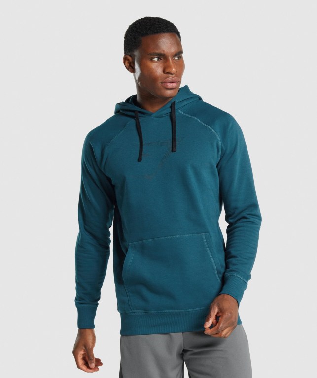 Gymshark Sharkhead Infill Men\'s Hoodies Turquoise | UAE-15IEMN