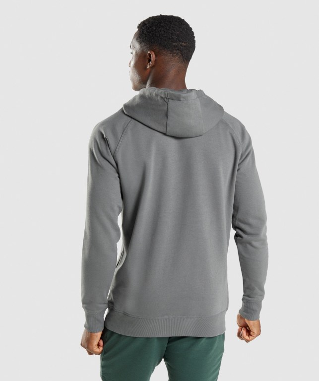 Gymshark Sharkhead Infill Men's Hoodies Grey | UAE-16PQLX