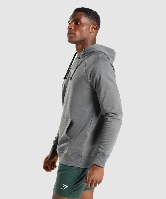 Gymshark Sharkhead Infill Men's Hoodies Grey | UAE-16PQLX